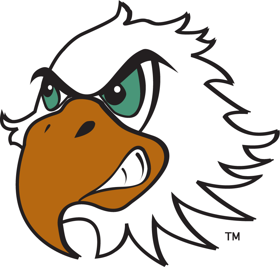 North Texas Mean Green 2003-2005 Mascot Logo v5 iron on transfers for clothing